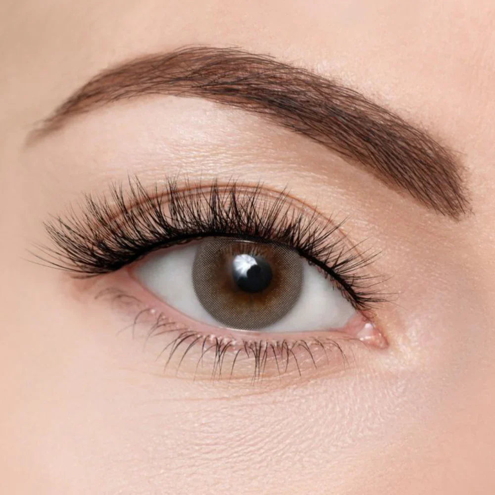 COMFORT LENSES - FLORA GRAPHITE