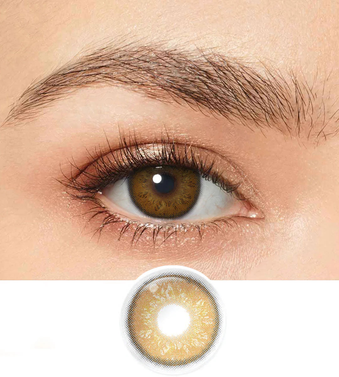 MAGISTER LENS COLOUR MIST BROWN