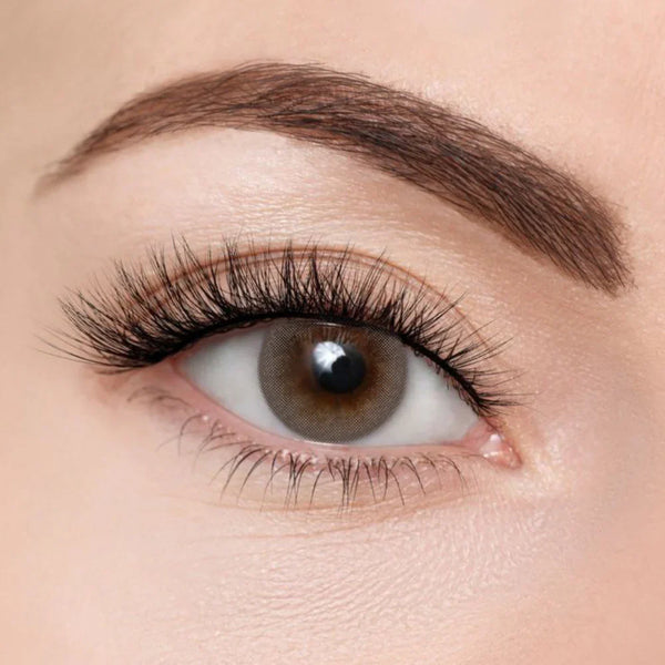 COMFORT LENSES - FLORA GRAPHITE