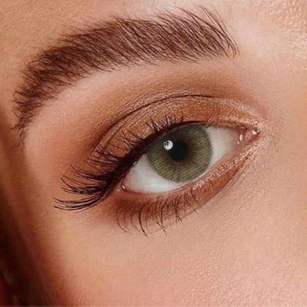 Venicol lens Classic Veni Mel color contact lens VC-19