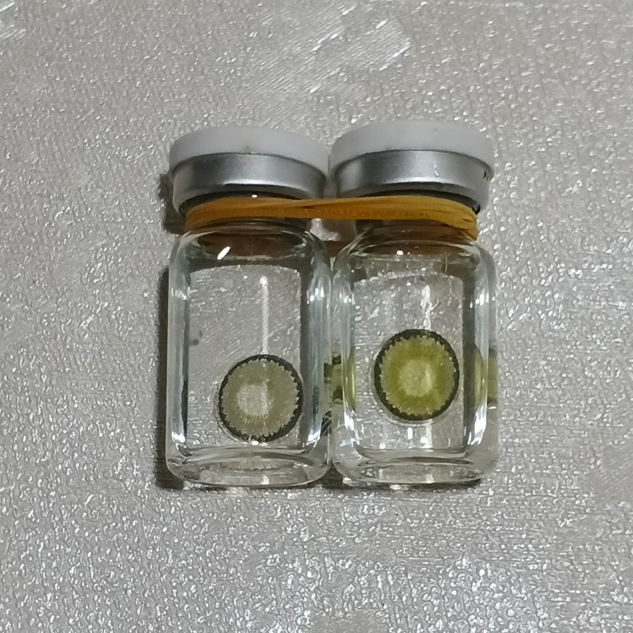 LENS HUB COLOUR YELLOWISH GREY