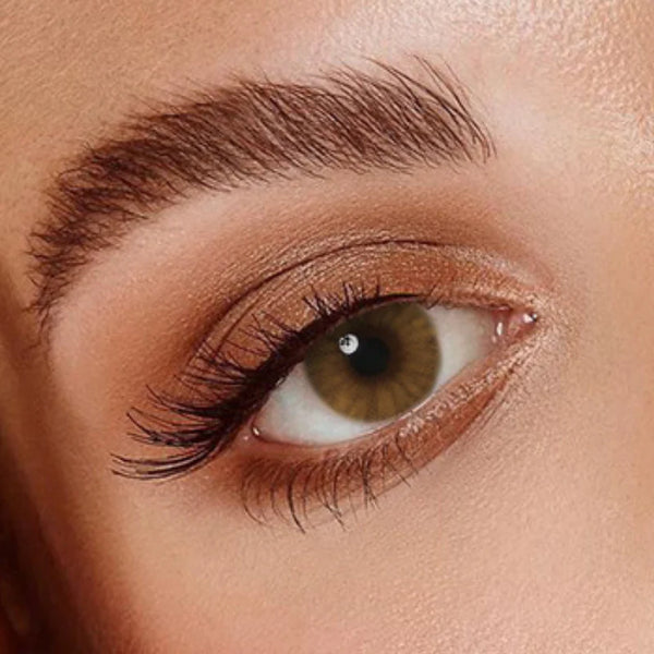 Venicol lens Classic Veni Ocre color contact lens VC-17